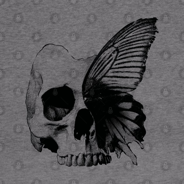 Butterfly Skull Art by Kali Space